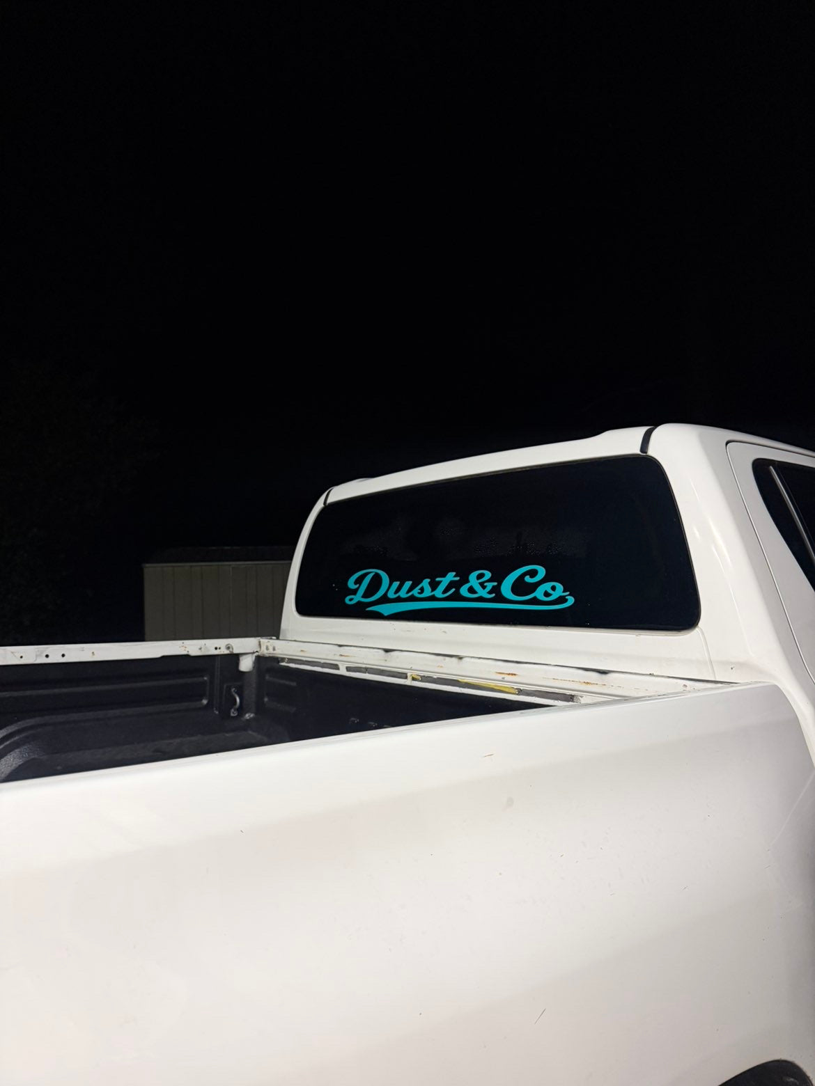DUST & CO. WINDOW BANNER