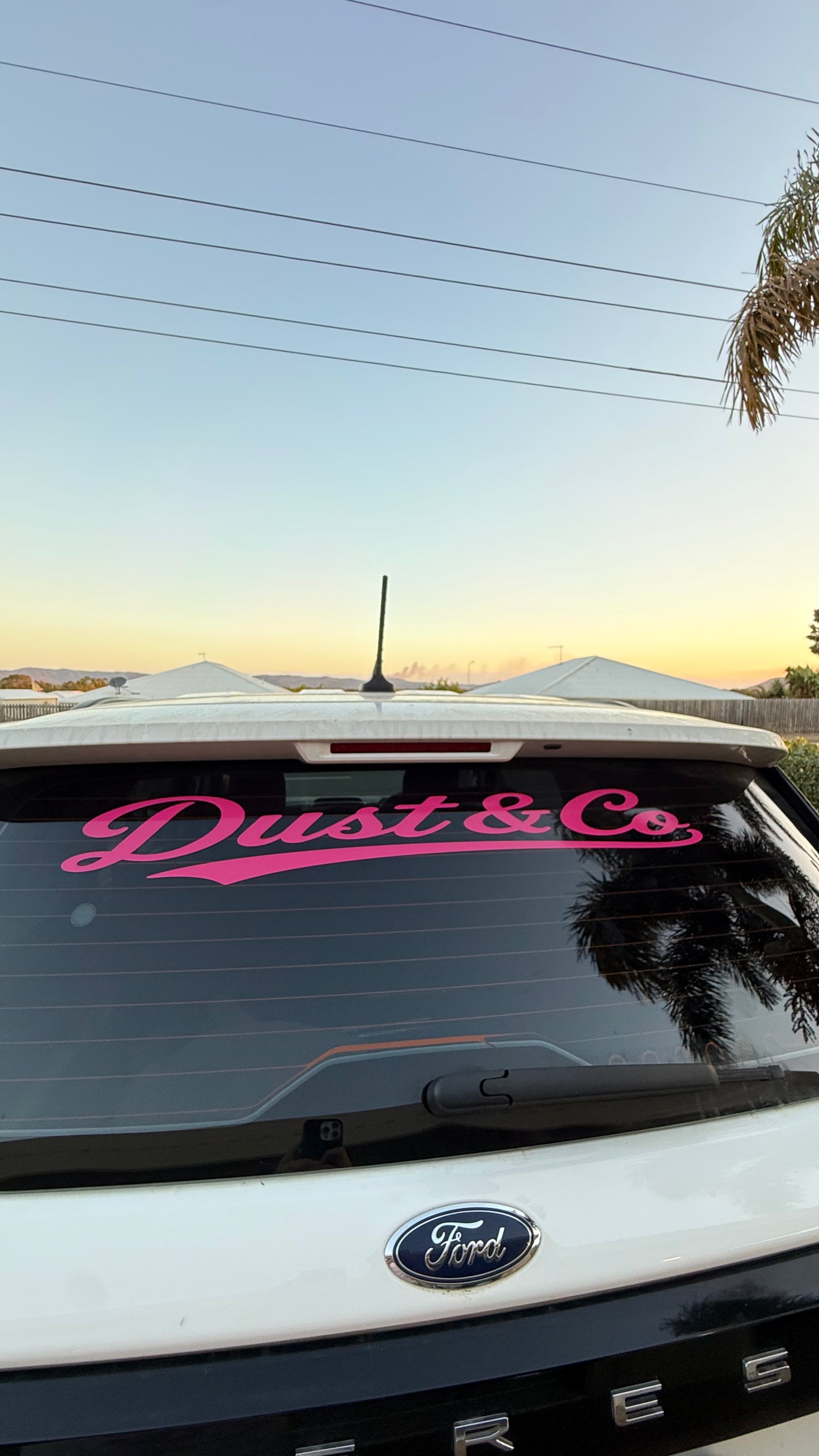 DUST & CO. WINDOW BANNER